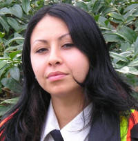 Development Manager